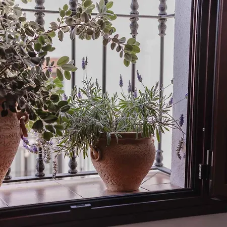 Yanes Bed & Breakfast